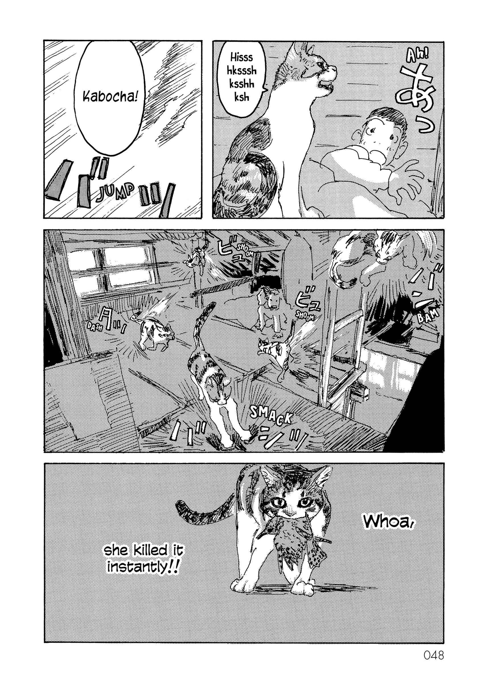 Page 6 Chapter 7 Kabochas Adventure