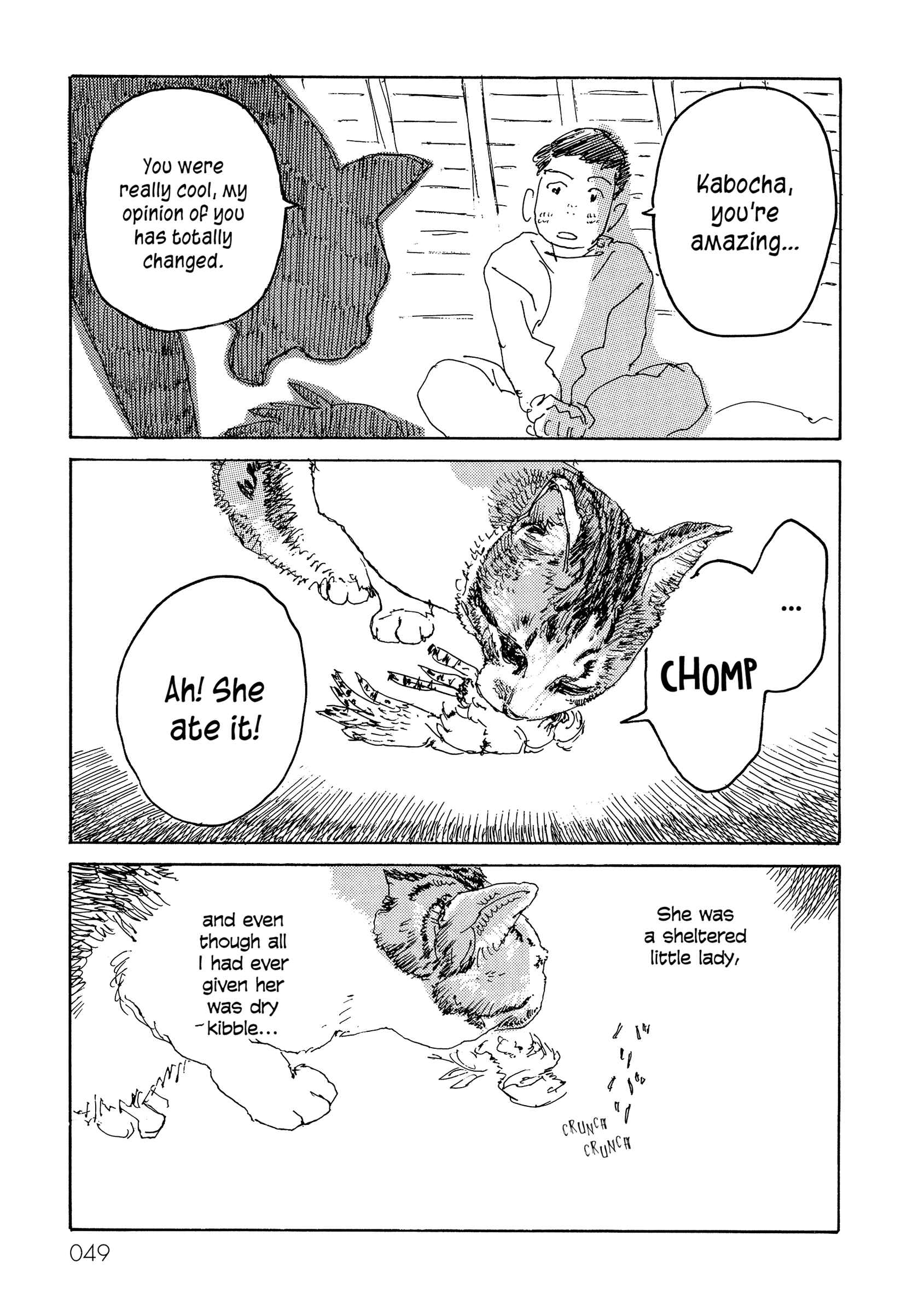 Page 7 Chapter 7 Kabochas Adventure