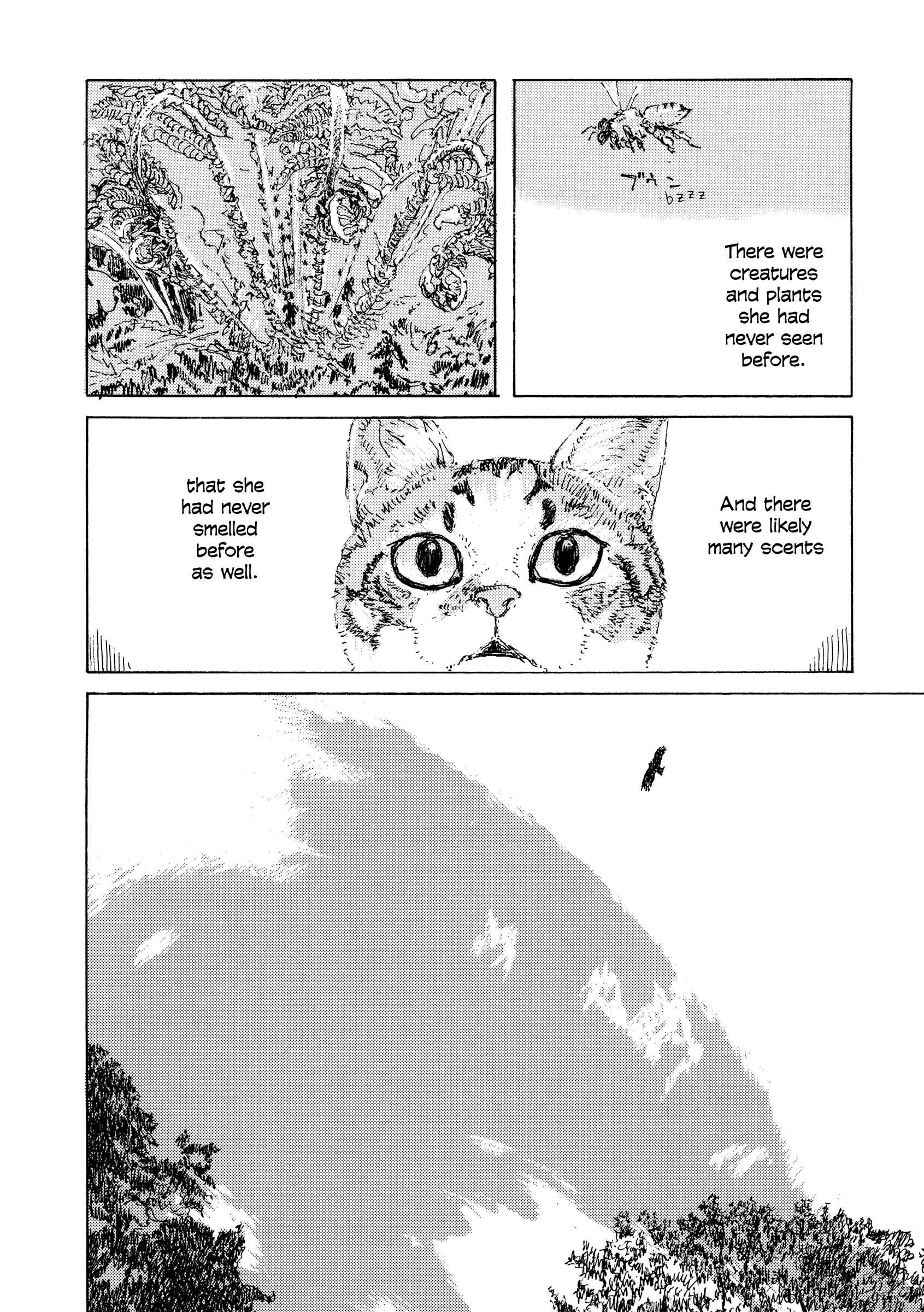 Page 2 Chapter 17 Kabochas Adventure