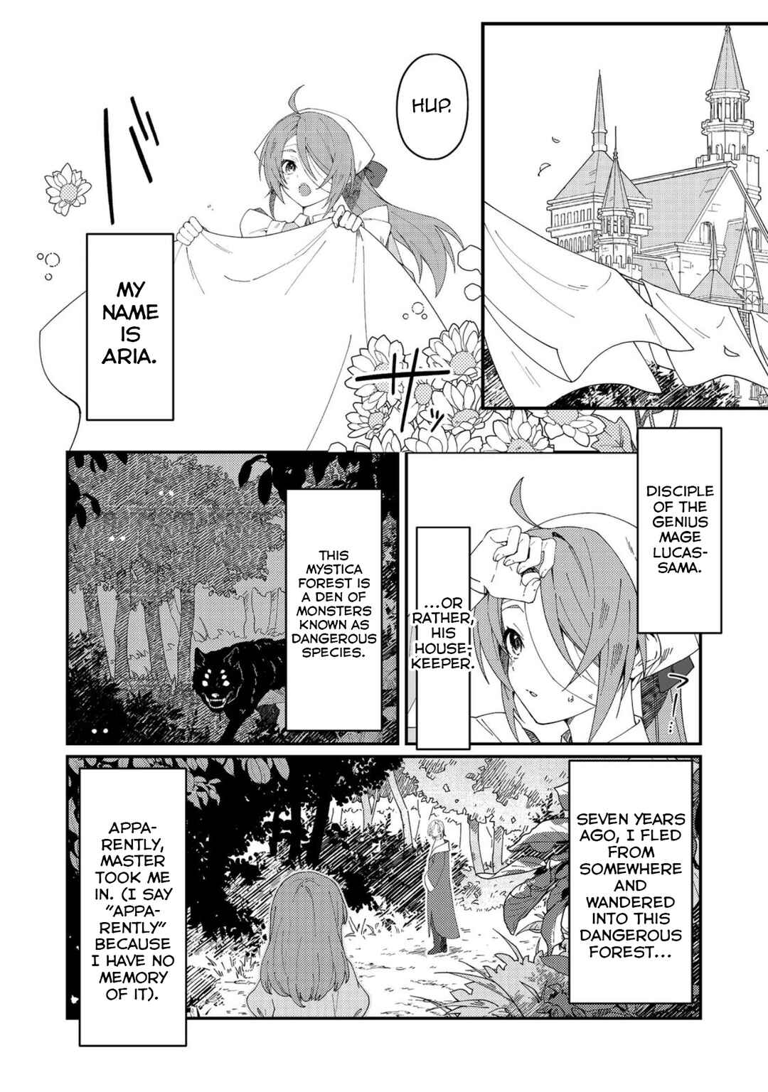 Page 11 Chapter 1 The Beautiful Mage: Finding My Lazy Master’s Missing Socks Is a Daily Struggle