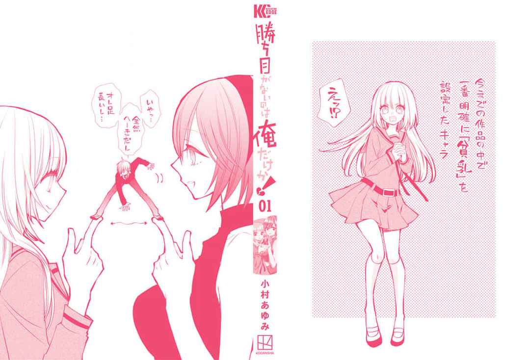 Page 15 Chapter 4.5 Kachime ga Nai no wa Ore dake ka!