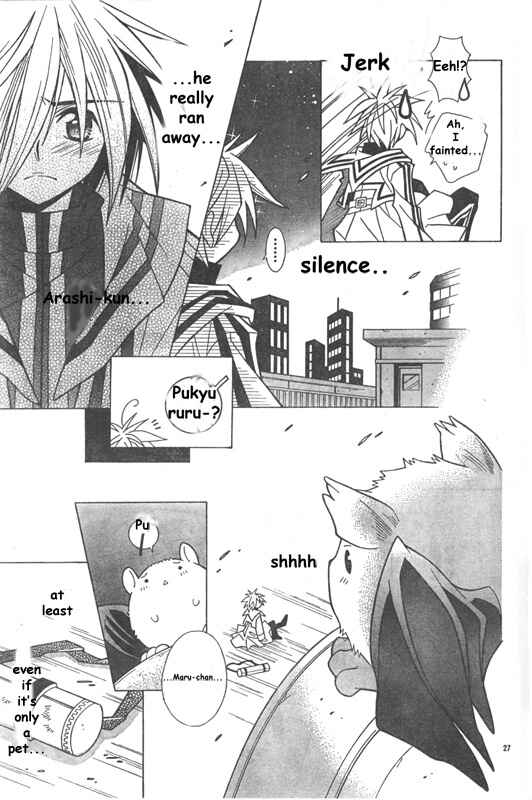 Page 29 Chapter Unknown_bd05 Twilight Police Sora and Arashi