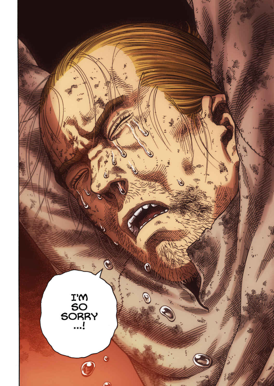 Page 17 Chapter 71 Vinland Saga (Fan-Colored)