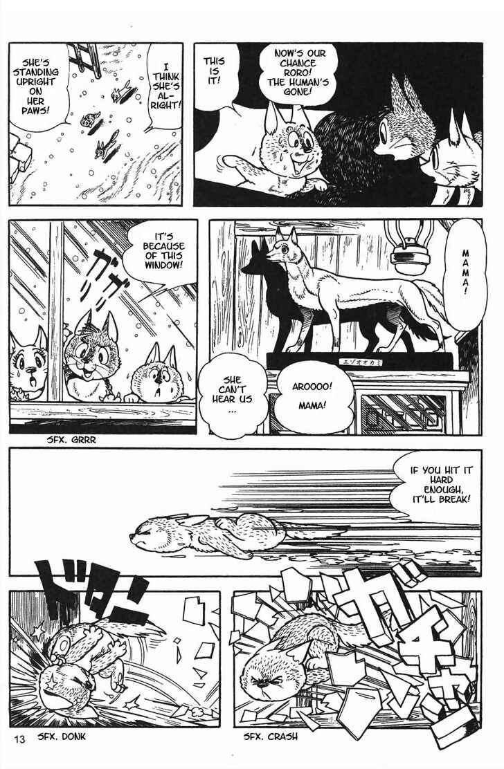 Page 13 Chapter 8.1 Tiger Books
