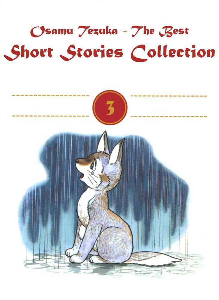 Page 2 Chapter 8.1 Tiger Books