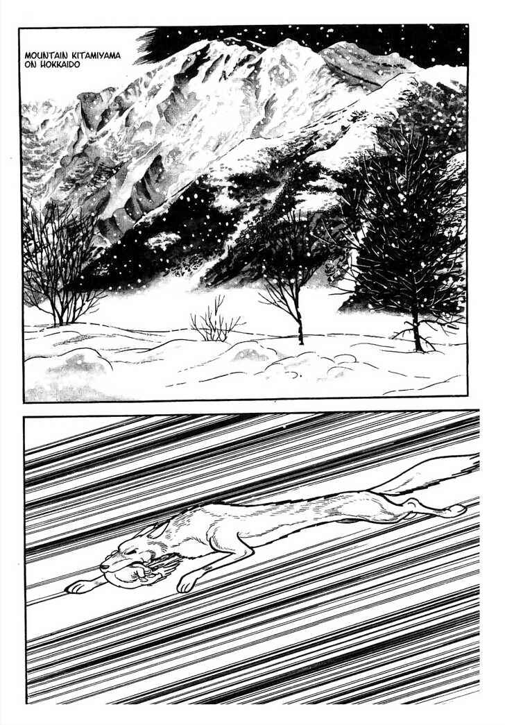 Page 5 Chapter 8.1 Tiger Books