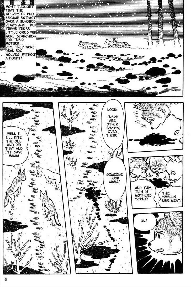 Page 9 Chapter 8.1 Tiger Books