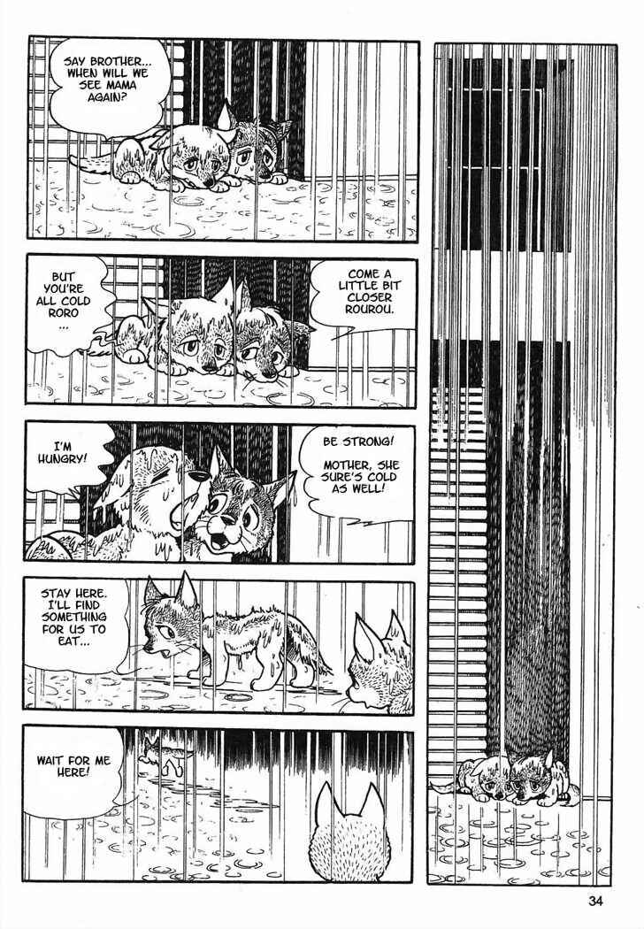 Page 11 Chapter 8.2 Tiger Books