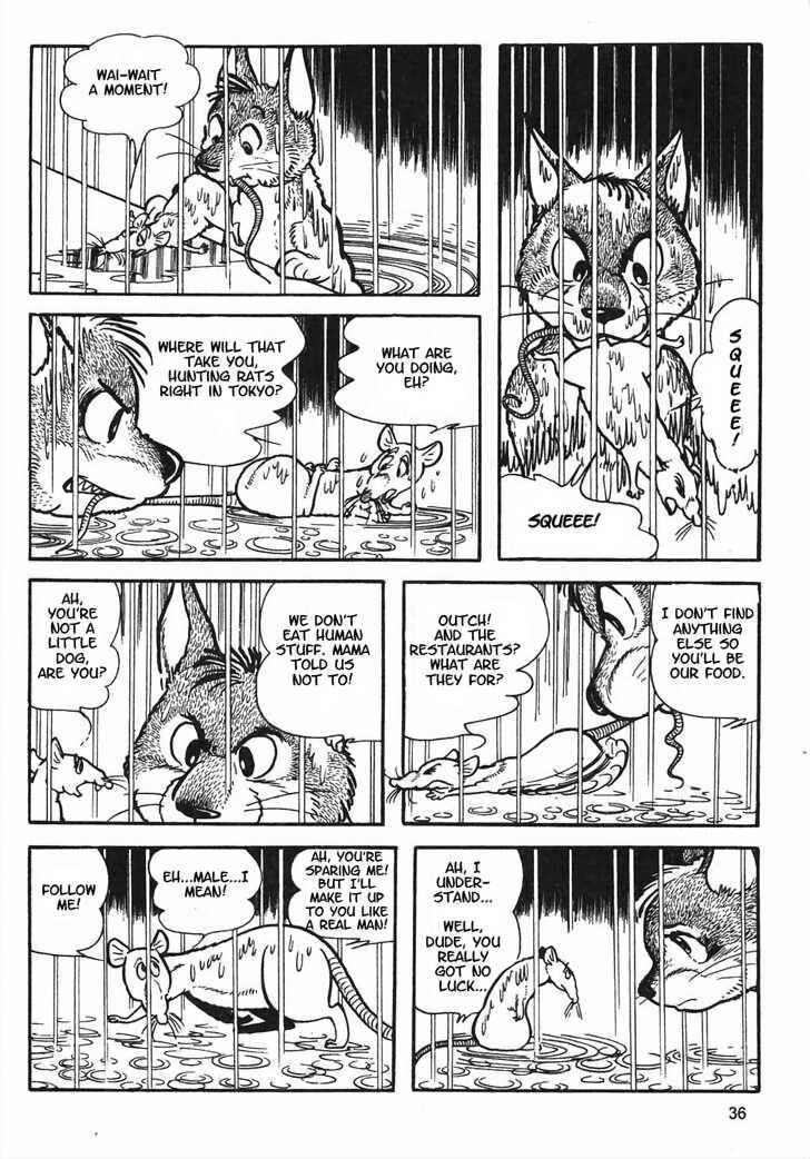 Page 13 Chapter 8.2 Tiger Books