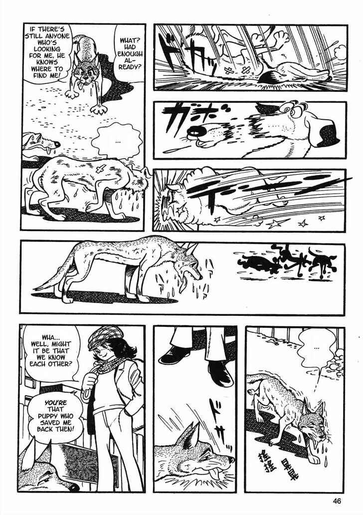 Page 23 Chapter 8.2 Tiger Books