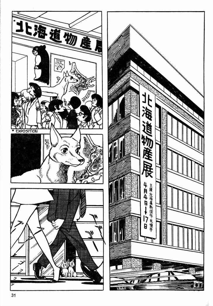 Page 8 Chapter 8.2 Tiger Books