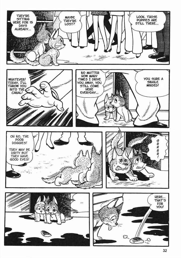 Page 9 Chapter 8.2 Tiger Books