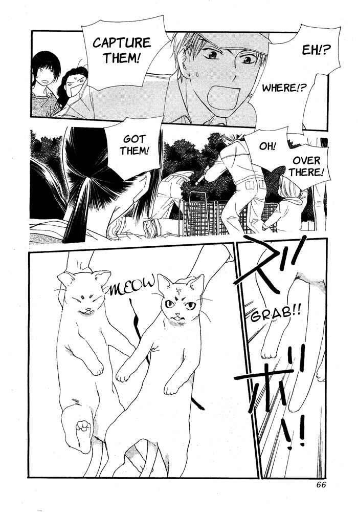 Page 11 Chapter 8 Orange Chocolate