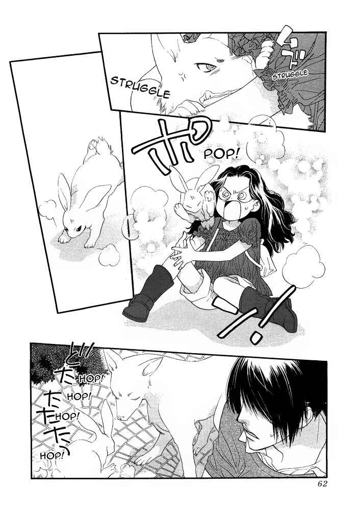 Page 7 Chapter 8 Orange Chocolate
