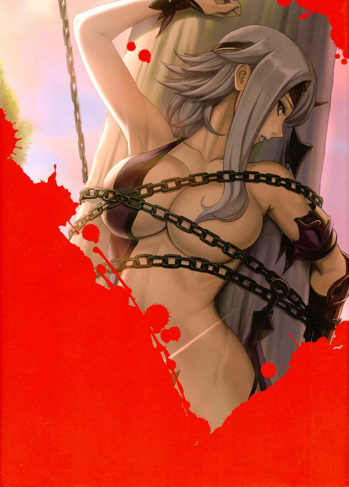 Page 27 Chapter 1 Queens Blade - Vanquished Queens (Visual Book)