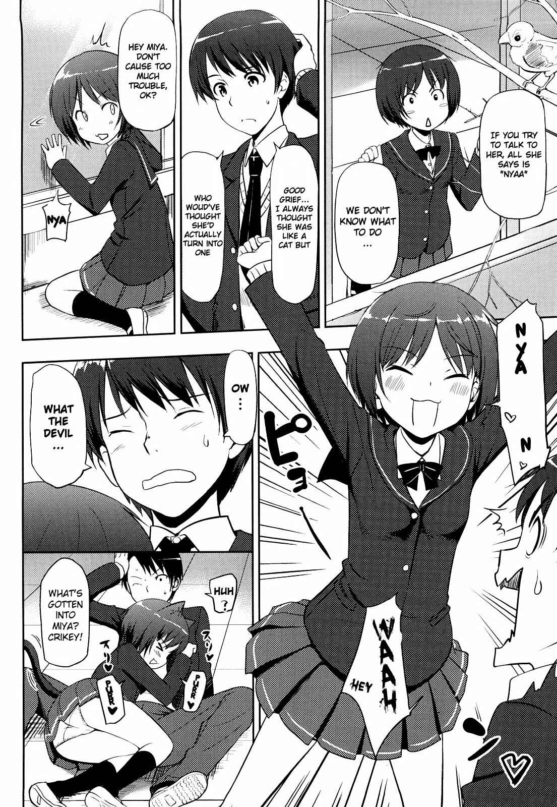 Page 14 Chapter 36 Amagami - Various Artists