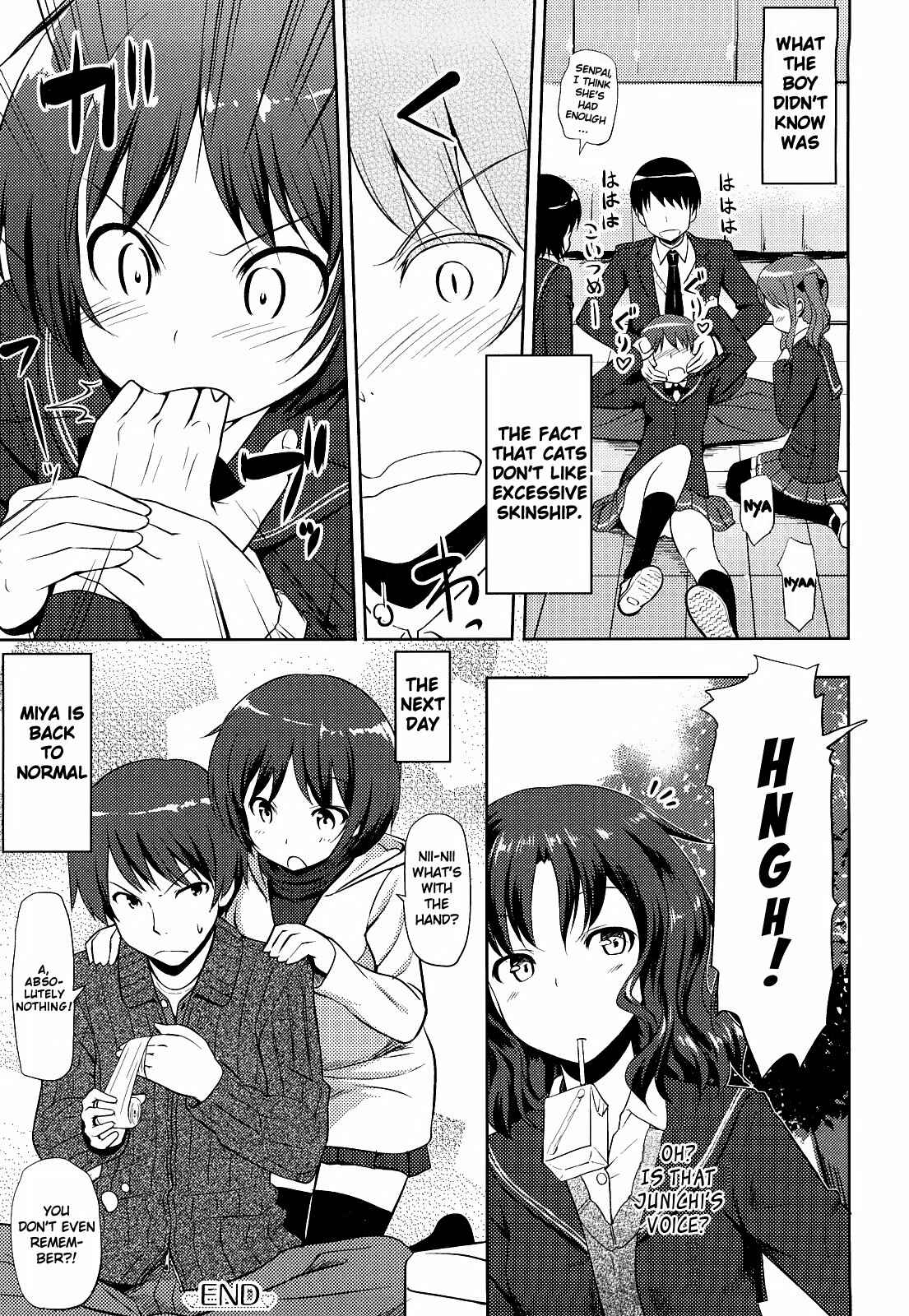 Page 16 Chapter 36 Amagami - Various Artists
