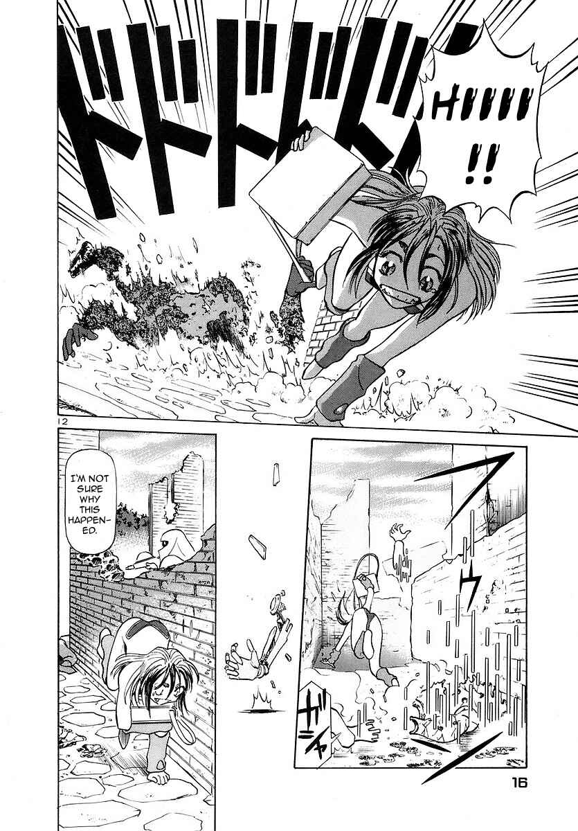 Page 17 Chapter 132 Birdy the Mighty (II)