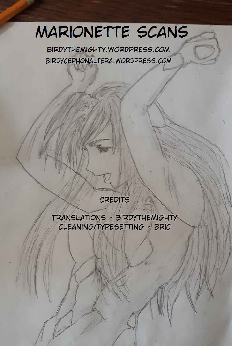 Page 17 Chapter 167 Birdy the Mighty (II)