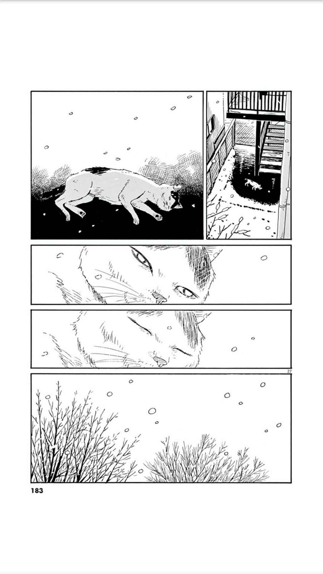 Page 27 Chapter 7 Holiday Junction