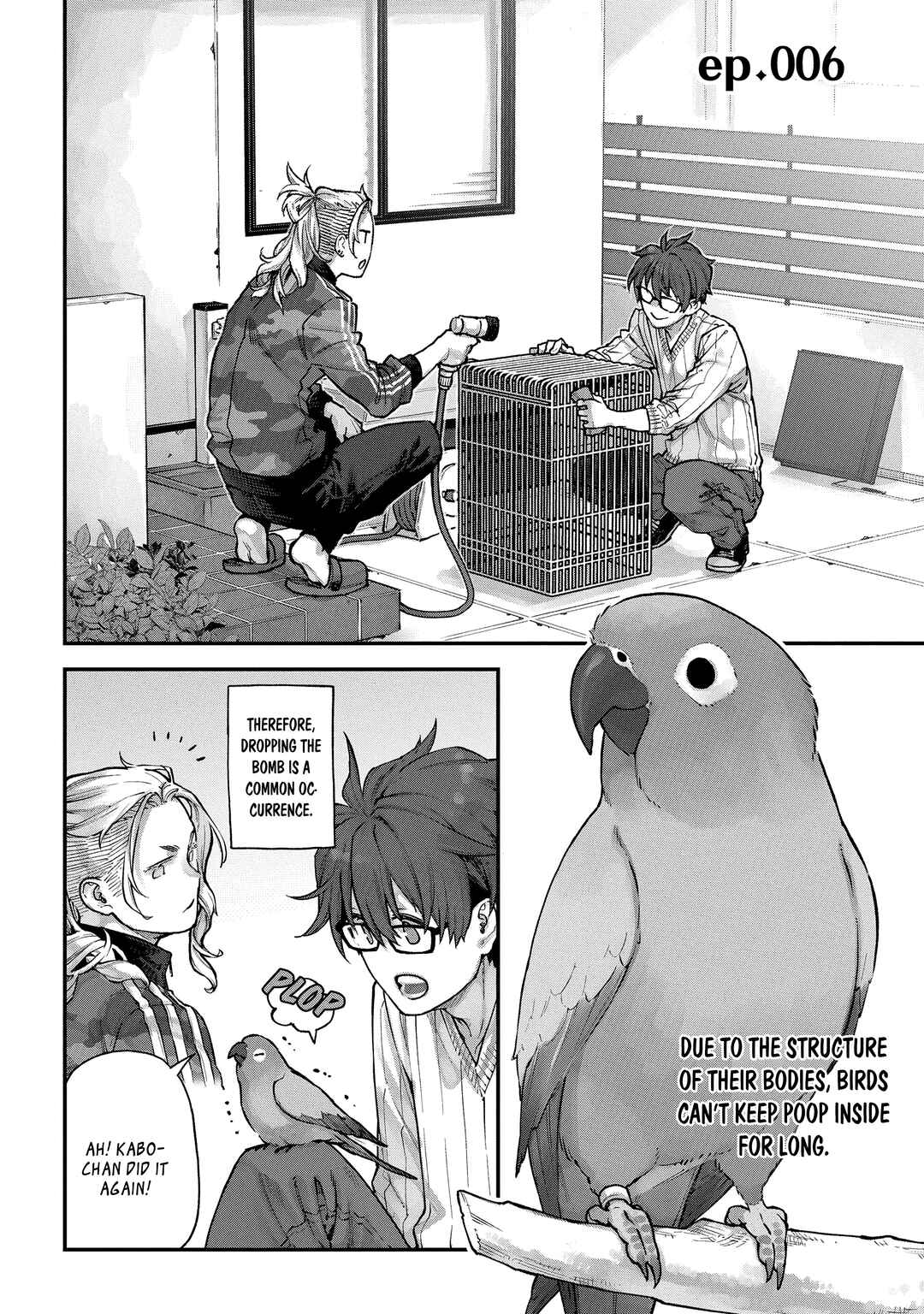 Page 2 Chapter 6 Birds Junkies