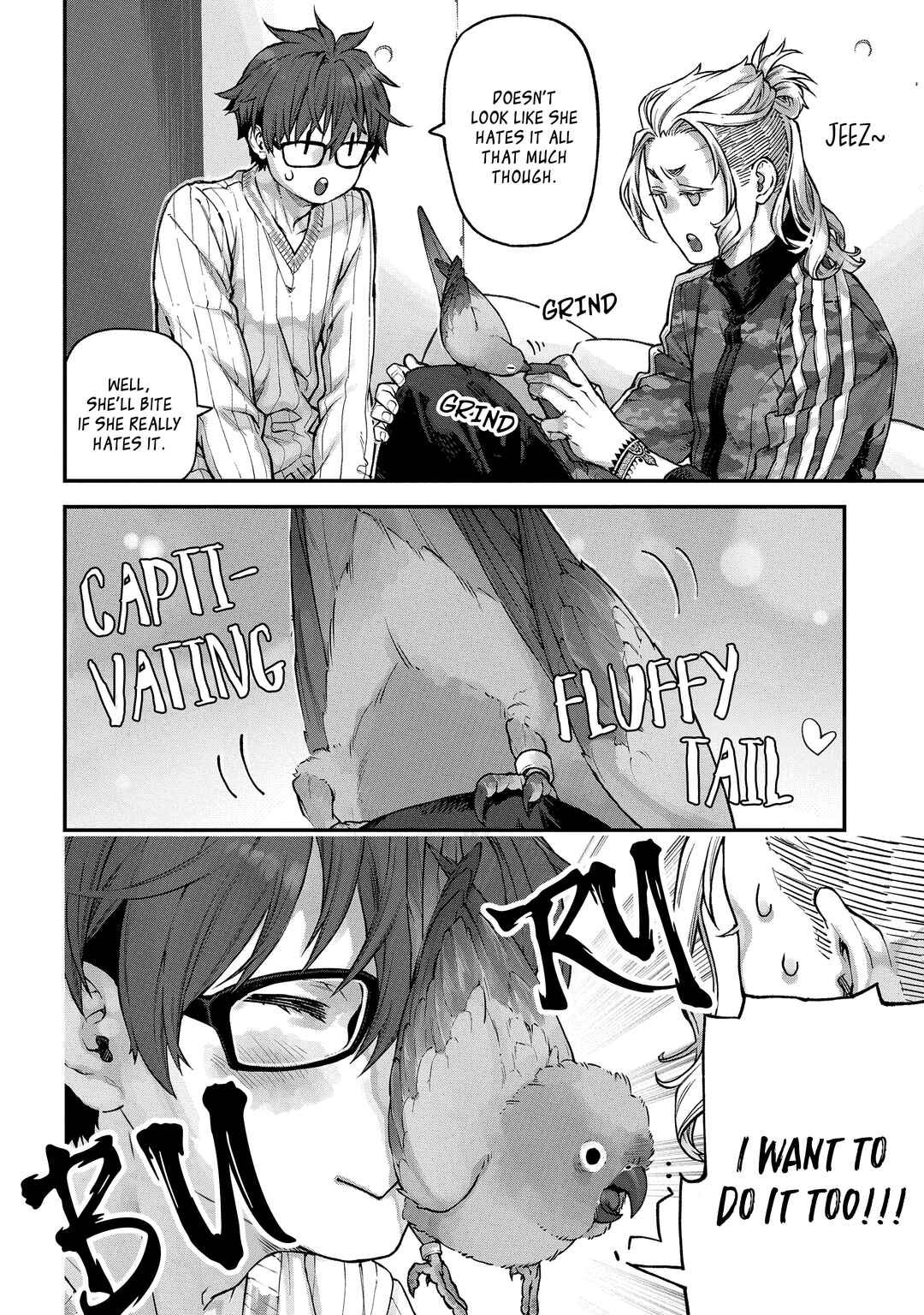 Page 4 Chapter 5 Birds Junkies