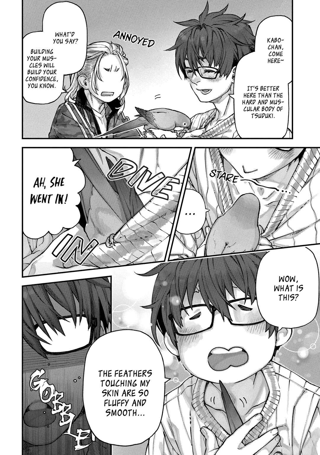 Page 4 Chapter 3 Birds Junkies
