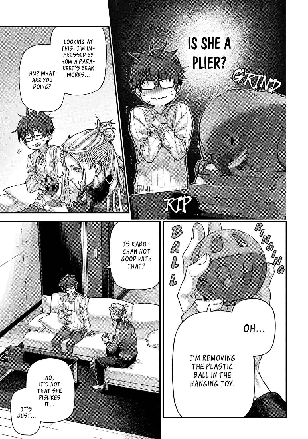 Page 5 Chapter 4 Birds Junkies