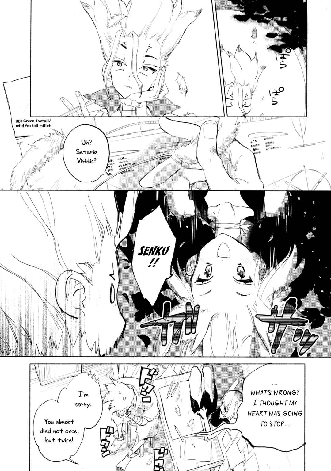 Page 18 Chapter Unknown_876c Dr.STONE - Sekki Sekai de Mabushii Natsu (Doujinshi)