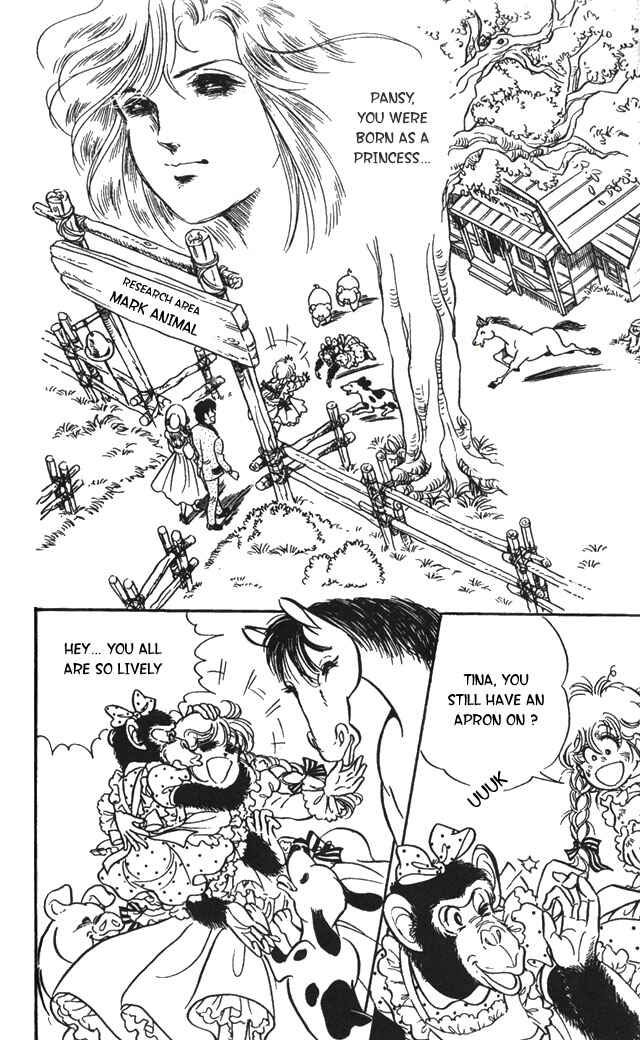Page 14 Chapter 4.2 Pansy of Light