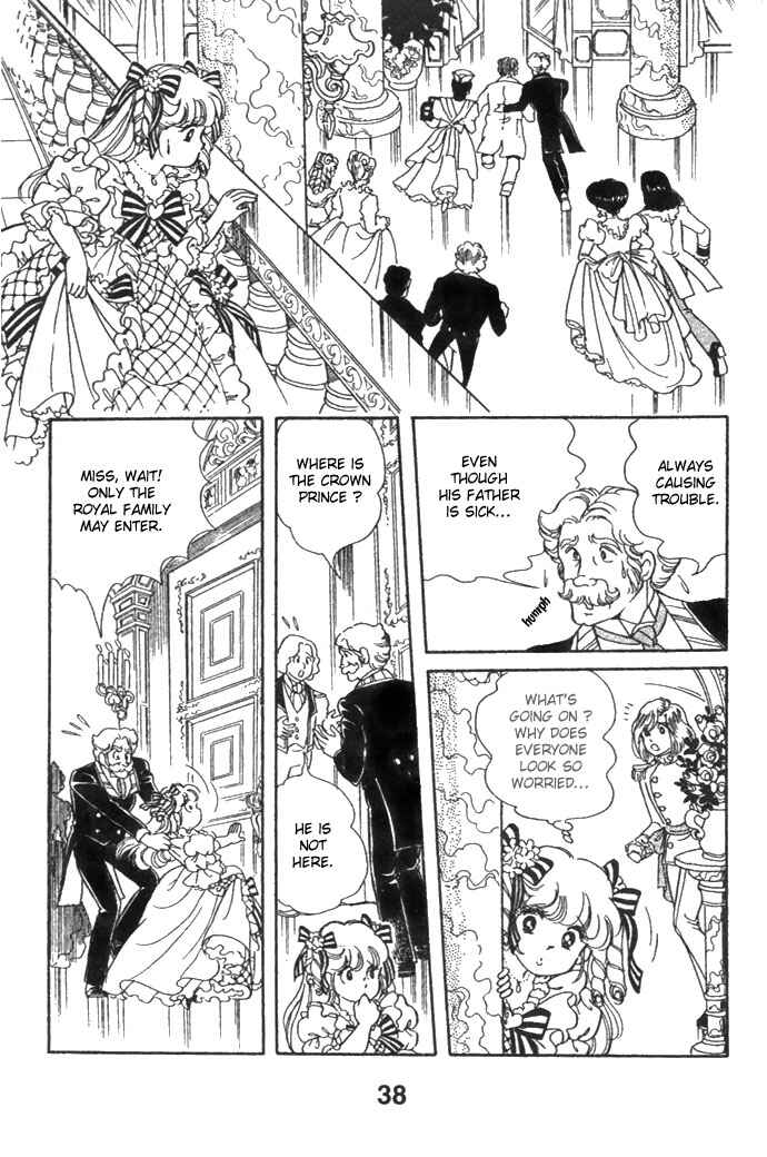 Page 6 Chapter 6.1 Pansy of Light