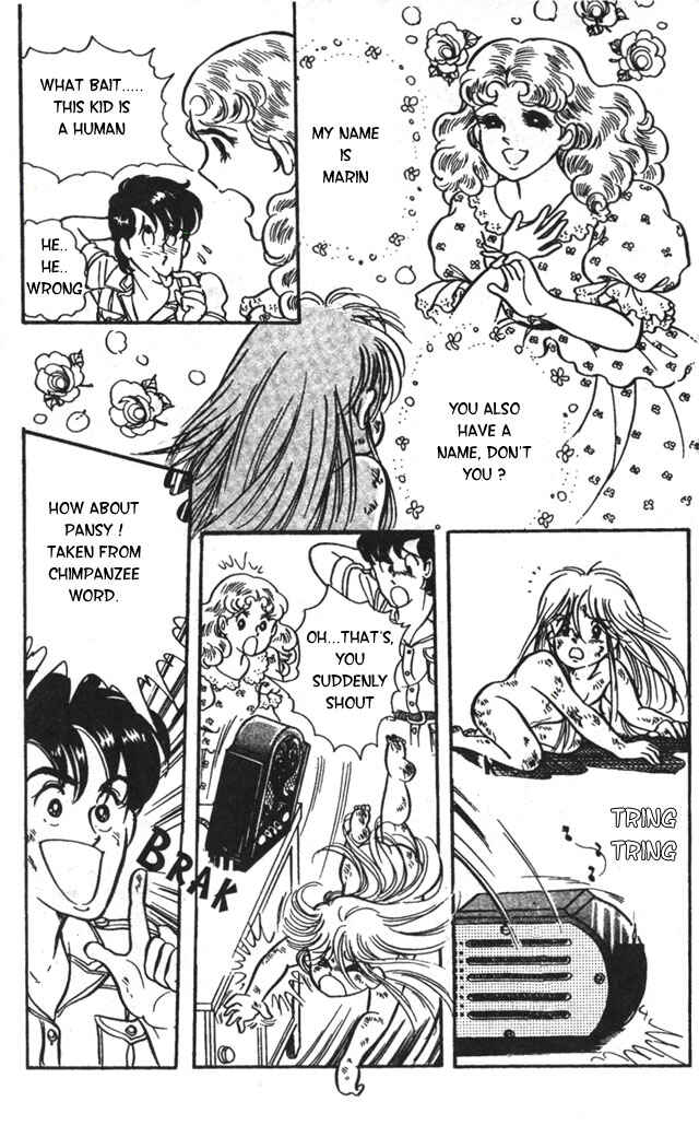 Page 13 Chapter 1.1 Pansy of Light