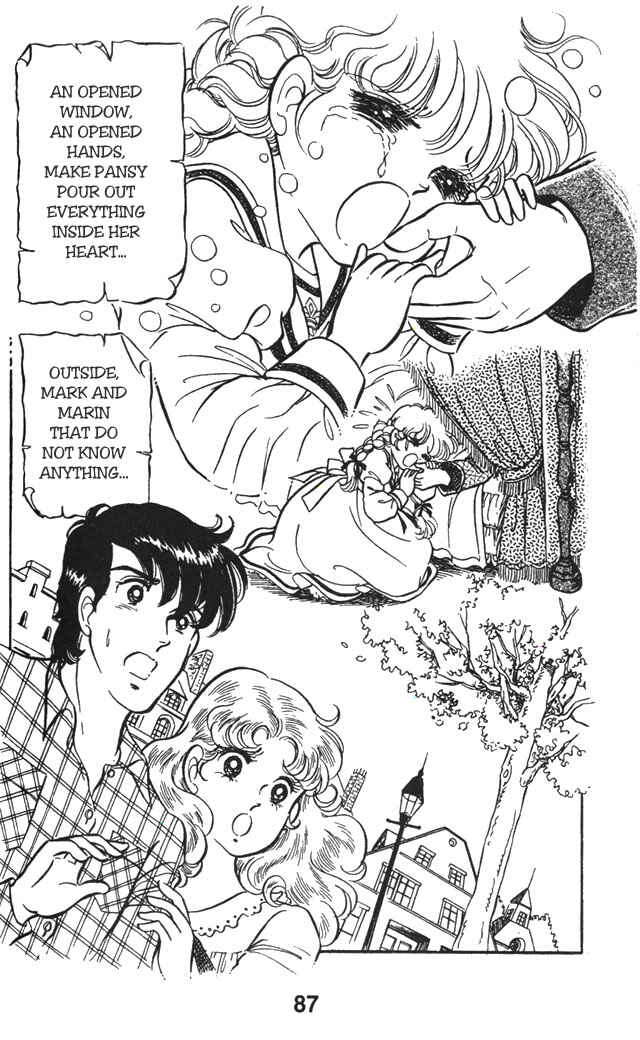 Page 17 Chapter 2.2 Pansy of Light