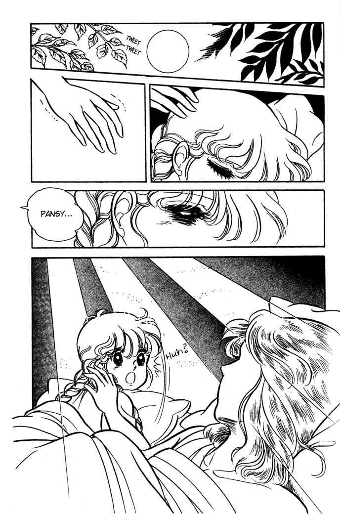 Page 26 Chapter 18 Pansy of Light