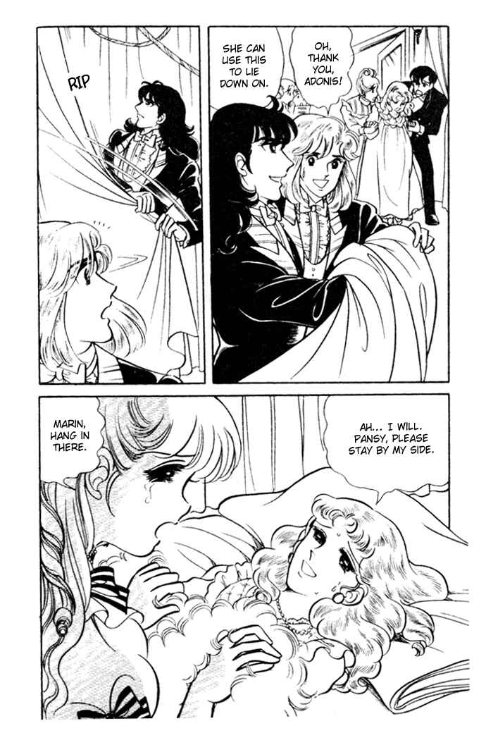 Page 41 Chapter 21 Pansy of Light