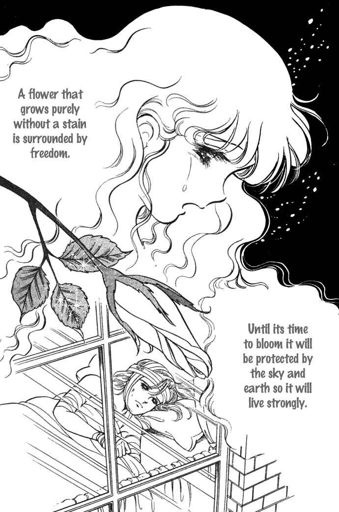 Page 18 Chapter 7.2 Pansy of Light