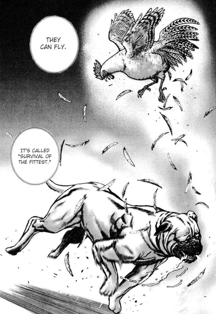 Page 13 Chapter 26 Tough