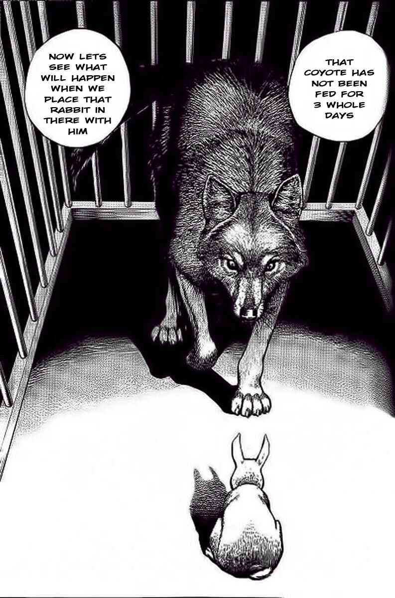 Page 11 Chapter 234 Tough
