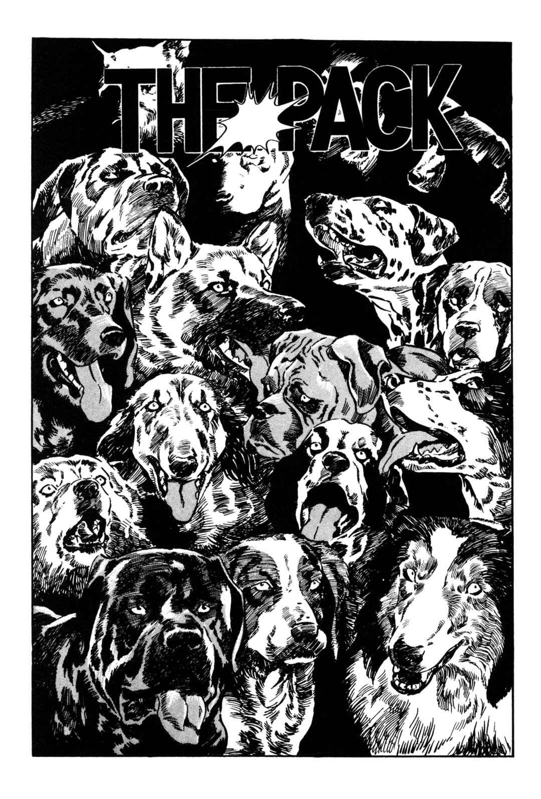 Page 3 Chapter 2 The Great Wild