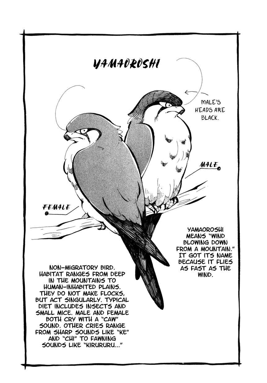 Page 33 Chapter 30 Chichikogusa