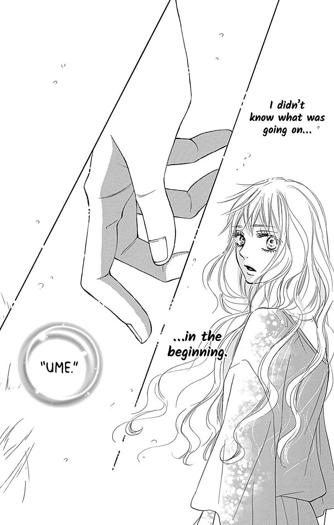 Page 45 Chapter 2 Kimi ni Todoke Special ～Soulmate～