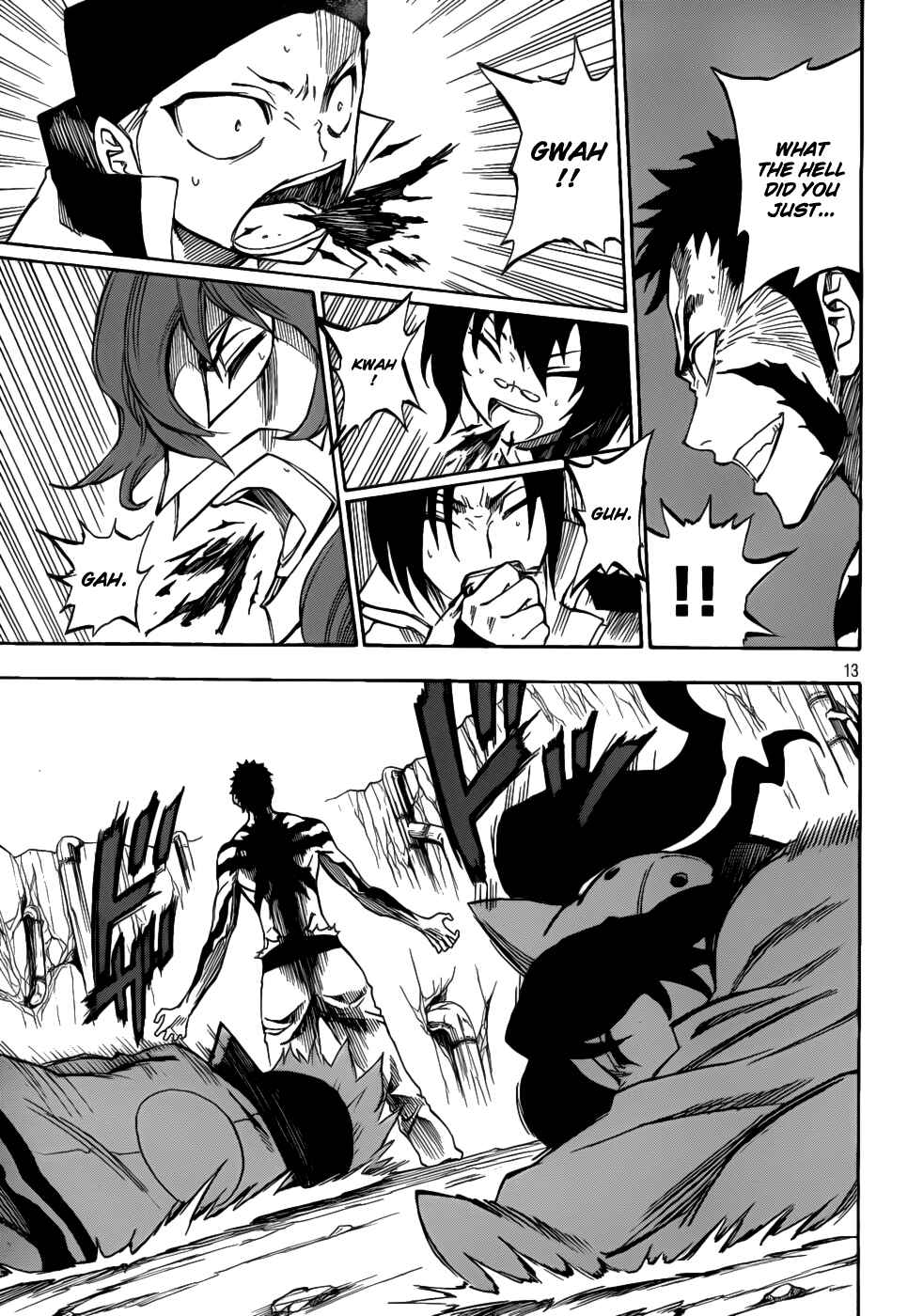 Page 13 Chapter 8 Flags