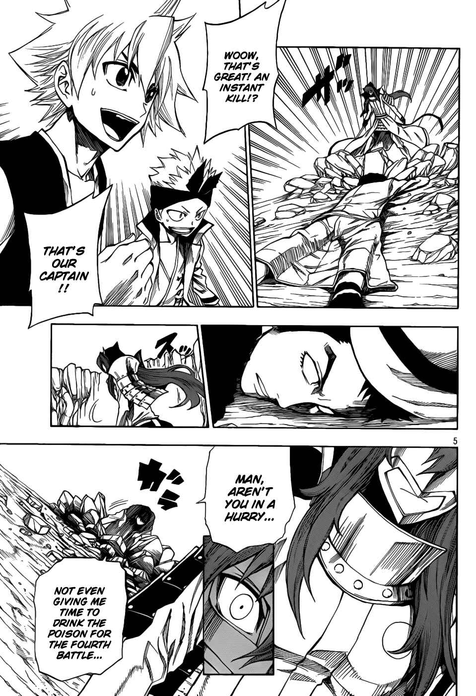 Page 5 Chapter 8 Flags