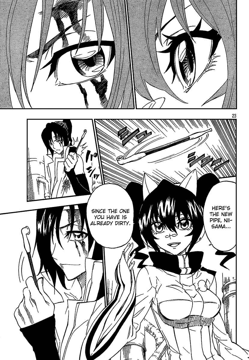 Page 23 Chapter 5 Flags