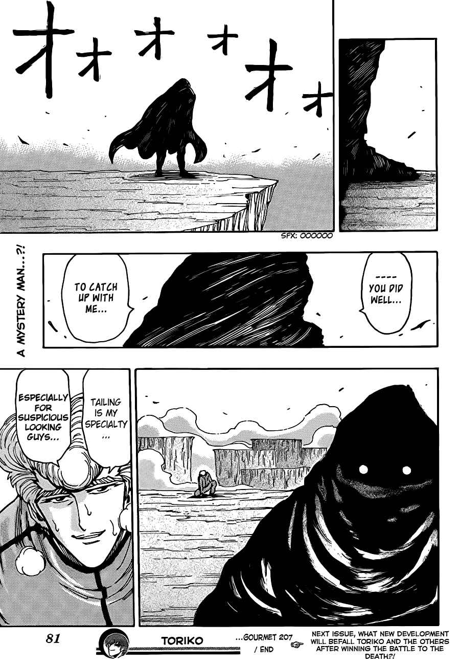 Page 17 Chapter 207 TORIKO