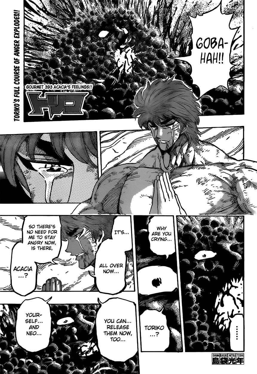 Page 1 Chapter 393 TORIKO