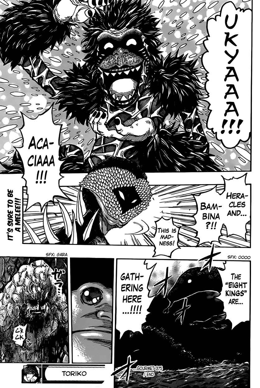 Page 19 Chapter 375 TORIKO