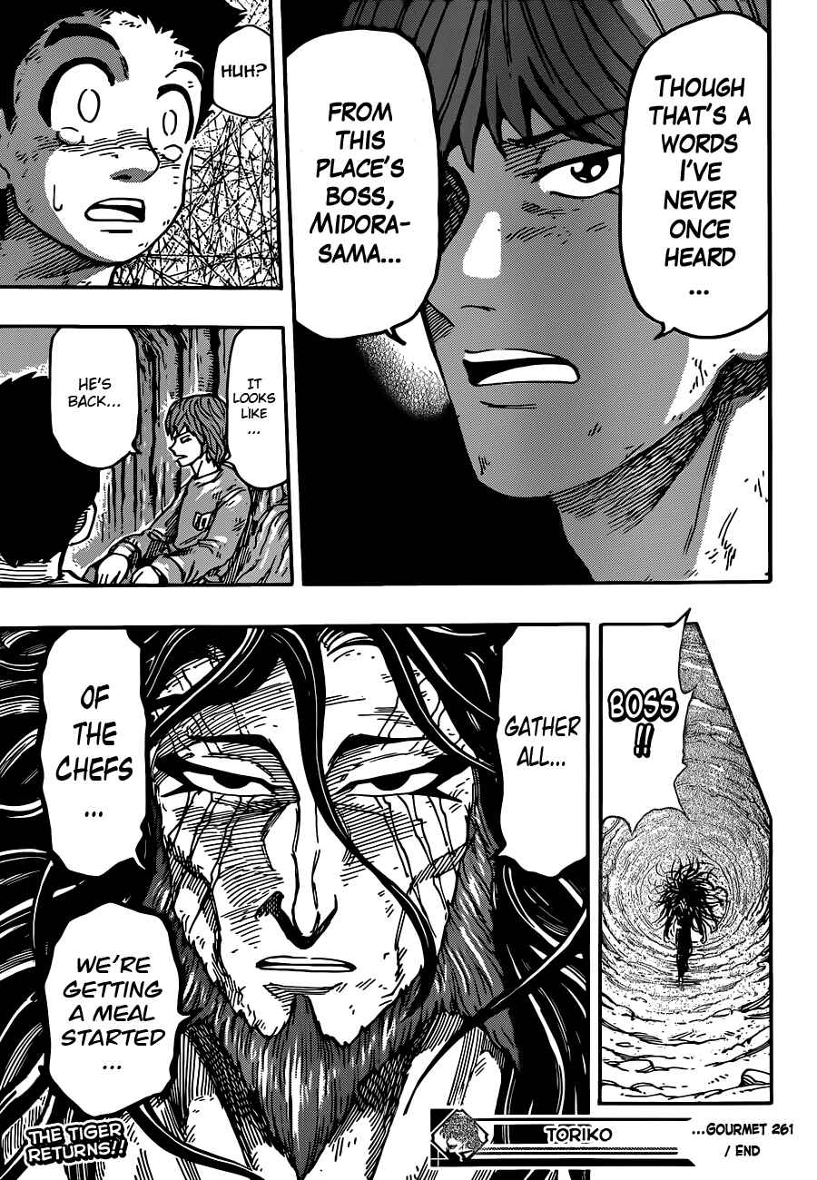 Page 17 Chapter 261 TORIKO
