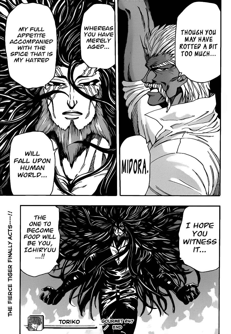 Page 17 Chapter 247 TORIKO