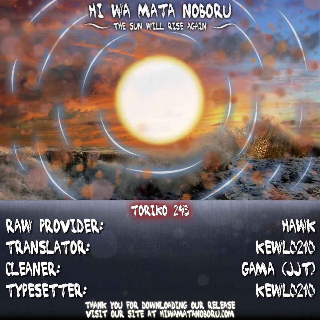 Page 17 Chapter 243 TORIKO